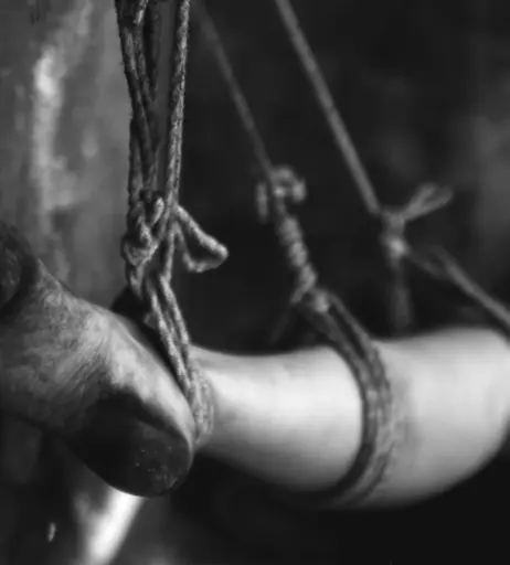 Image 2198602 from Calvato Photography - Patreon