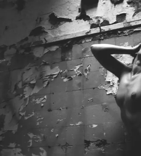 Image 2171532 from Calvato Photography - Patreon