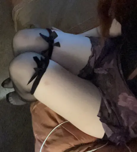 Image 21721515 from shelbypng