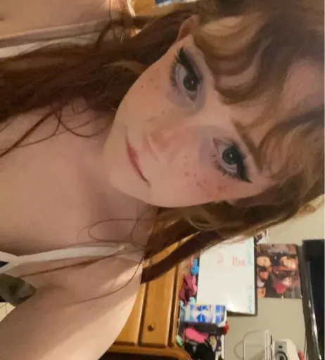 Image 21721479 from shelbypng