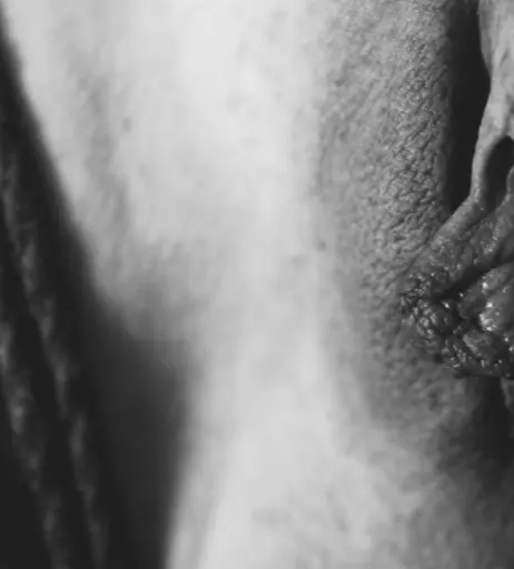 Image 2166076 from Calvato Photography - Patreon