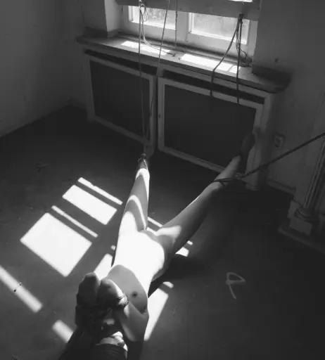 Image 2164502 from Calvato Photography - Patreon