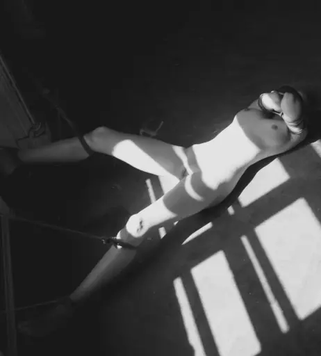 Image 2164933 from Calvato Photography - Patreon