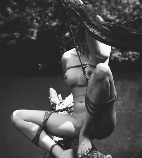Image 2162038 from Calvato Photography - Patreon