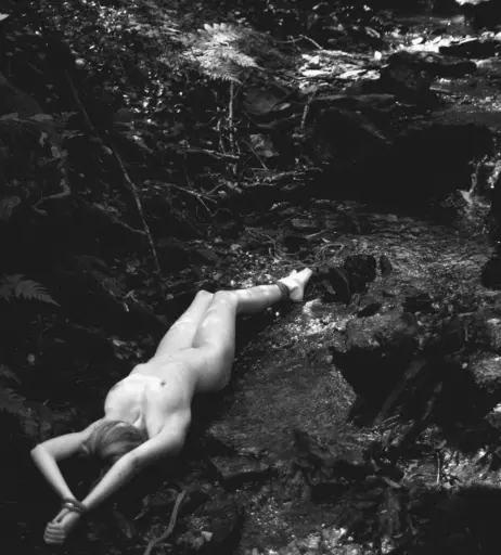 Image 2163583 from Calvato Photography - Patreon
