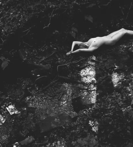 Image 2163287 from Calvato Photography - Patreon