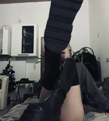 Image 2168853 from Sallydinosaur