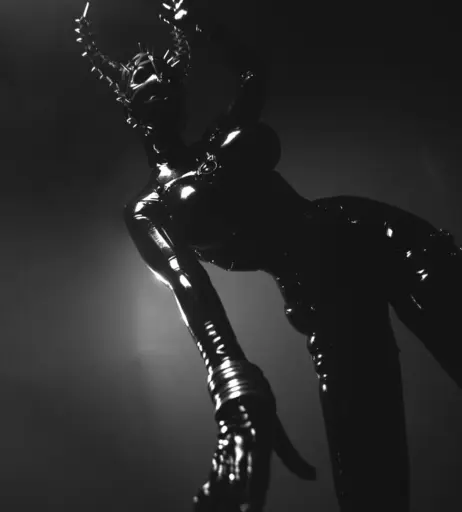 Image 2168980 from Calvato Photography - Patreon