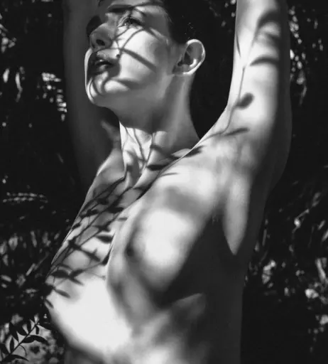 Image 2152456 from Zoi Gorman