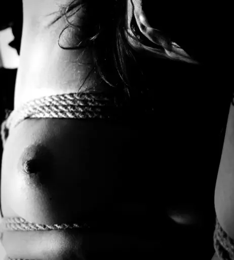 Image 2152124 from Calvato Photography - Patreon