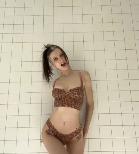 Image 2149424 from Smashedely