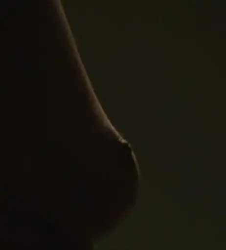 Image 2135530 from Nina Hoss