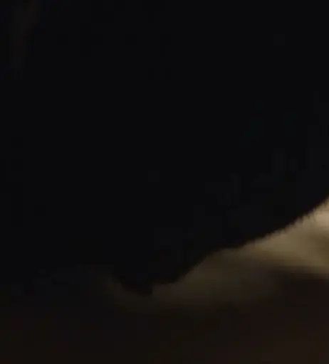 Image 2135429 from Nina Hoss