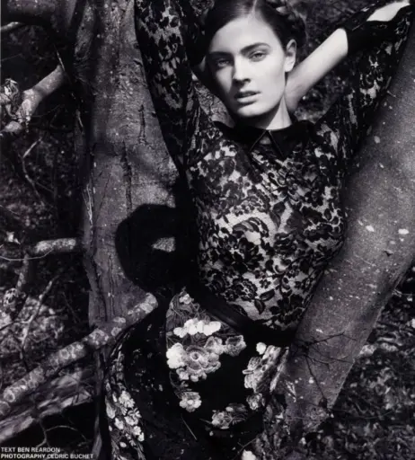 Image 2136856 from Constance Jablonski