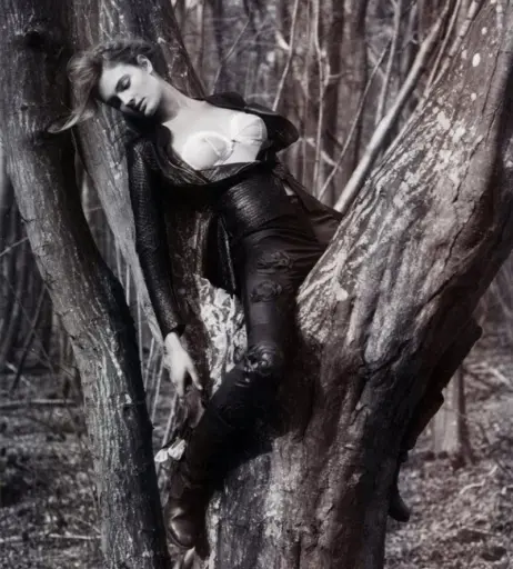 Image 2136754 from Constance Jablonski