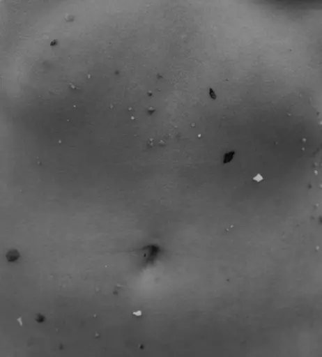 Image 2134307 from Nikki Hillier