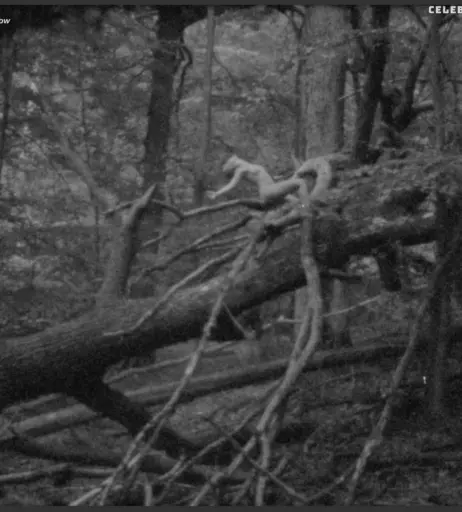 Image 2131464 from Alice Phoebe Lou