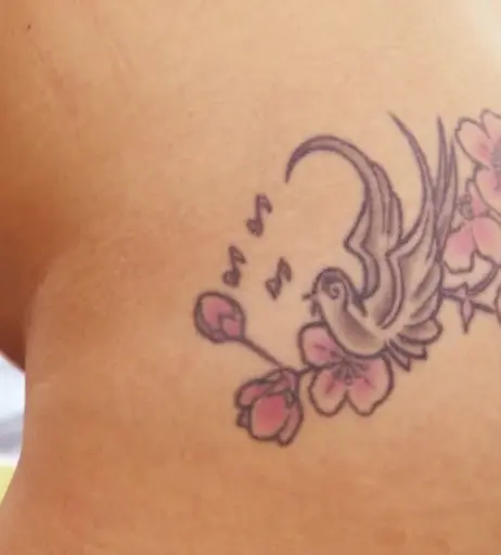 Image 2132804 from Leonore Bartsch