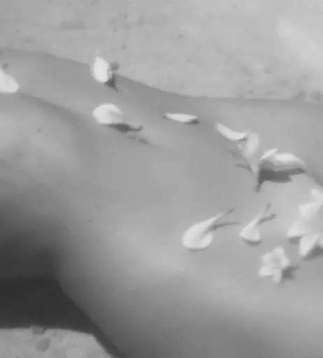 Image 2132027 from Inka Williams