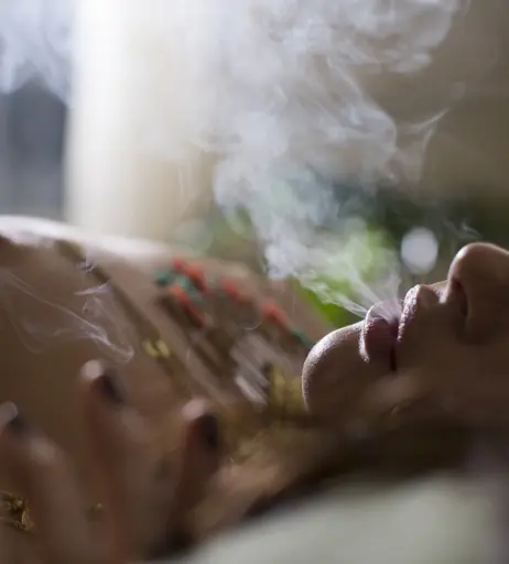 Image 2133231 from Nicole Mieth