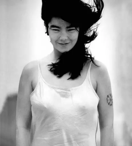 Image 2130855 from Björk