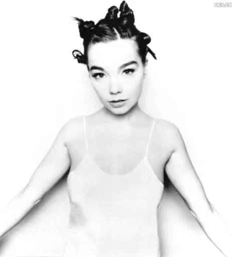 Image 2130754 from Björk