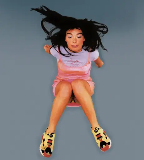 Image 2130774 from Björk