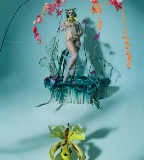 Image 2130606 from Björk