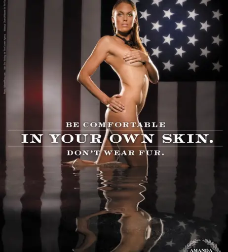 Image 2130096 from Amanda Beard