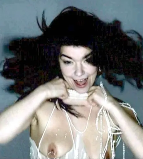 Image 2130057 from Björk