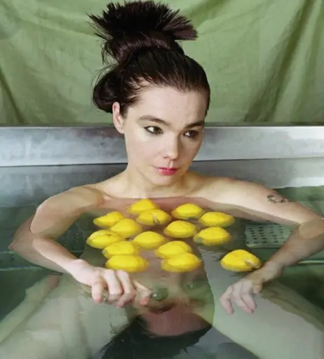 Image 2130273 from Björk