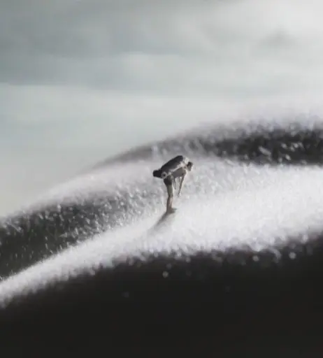 Image 2125846 from Zoi Gorman