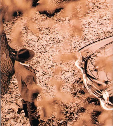 Image 2125625 from Cosma Shiva Hagen