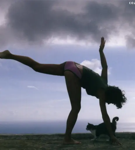 Image 2127390 from Ulrike Folkerts