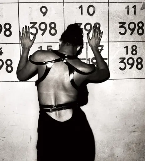 Image 2127382 from Shermine Shahrivar