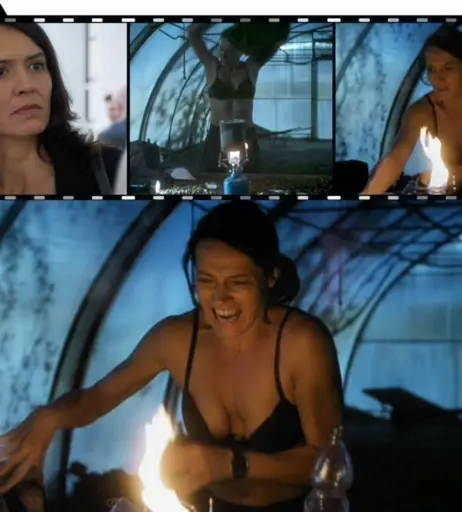 Image 2127209 from Ulrike Folkerts