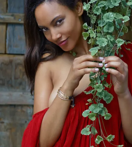 Image 2124858 from Ariel Meredith