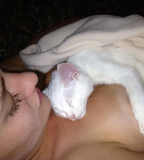 Image 2120411 from Aj Michalka