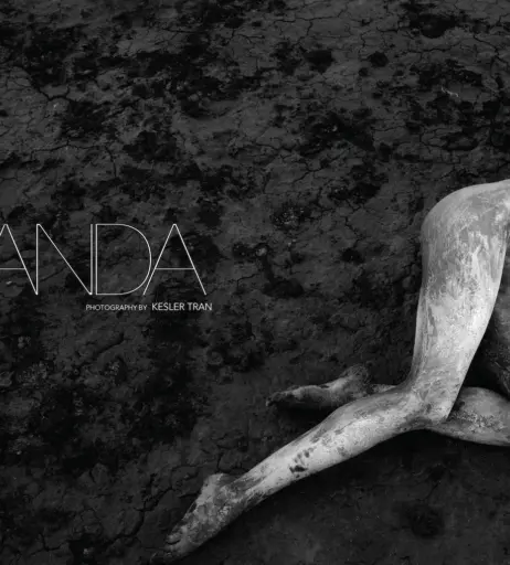 Image 2129843 from Amanda Pizziconi