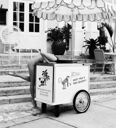 Image 2129593 from Amanda Pizziconi