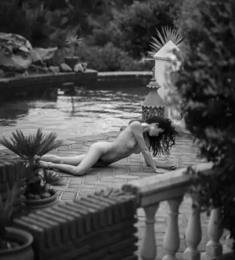 Image 2129739 from Tezz Tran