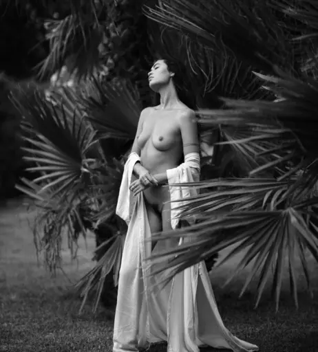 Image 2129072 from Tezz Tran