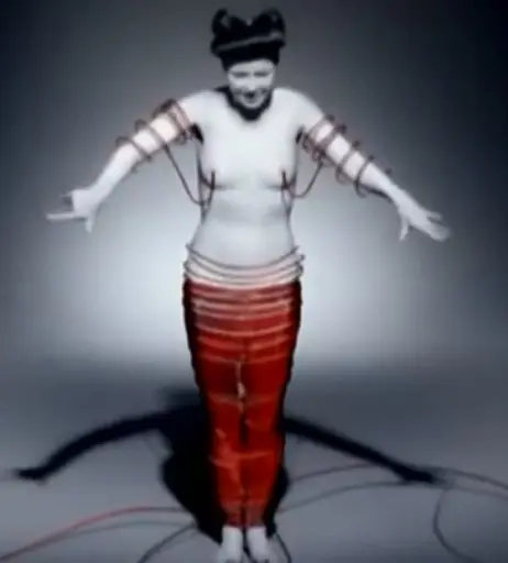 Image 2129930 from Björk