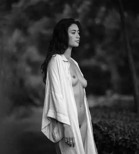 Image 2128809 from Tezz Tran