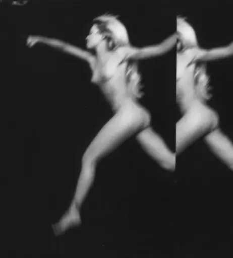 Image 2128488 from Fiona Horne