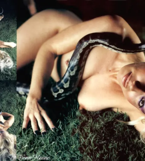 Image 2128743 from Fiona Horne