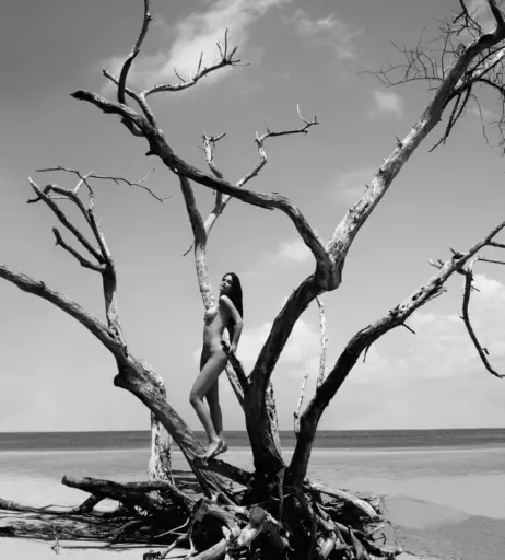 Image 2128140 from Shermine Shahrivar