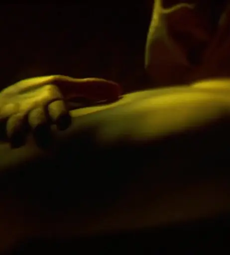 Image 2128286 from Meg Ryan