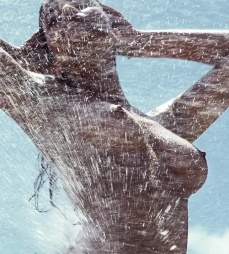 Image 2128229 from Shermine Shahrivar