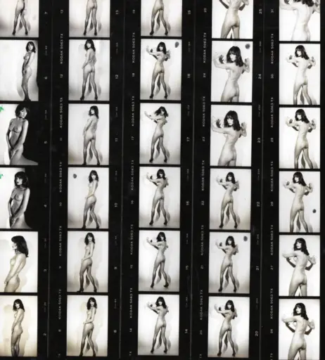 Image 2128989 from Melania Trump